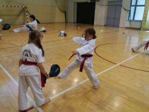 Taekwondo Toruń, Chełmża, Działdowo, Nidzica, Mława (39) 